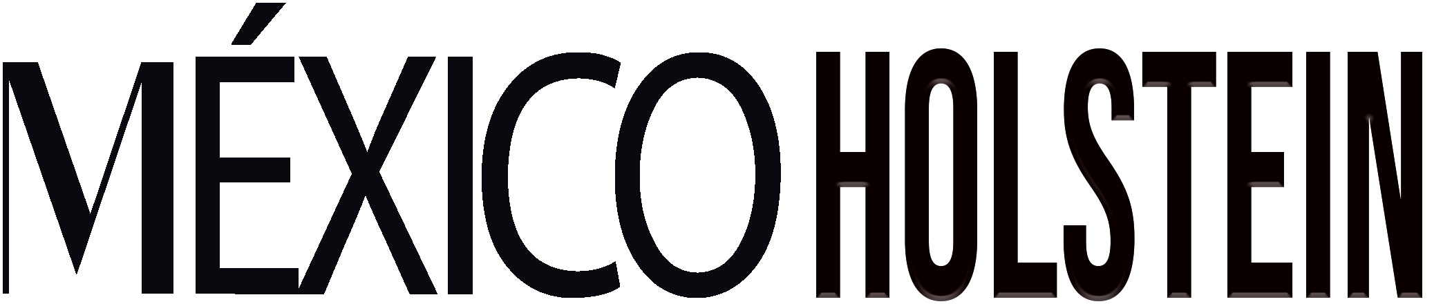 Logo Revista México Holstein