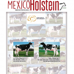 Primer publicación de la Revista México Holstein